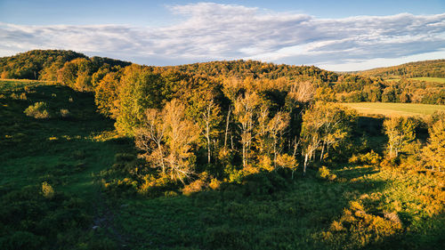 Arial shot of a mountain showing the first signs of fall foliage somewhere in the catskills region