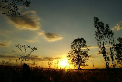 Scenic view of field against sky at sunset