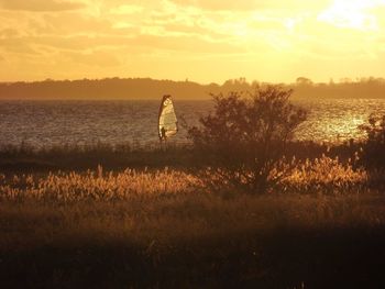 Scenic view of sunset over sea