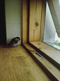 Wooden plank on wooden wall