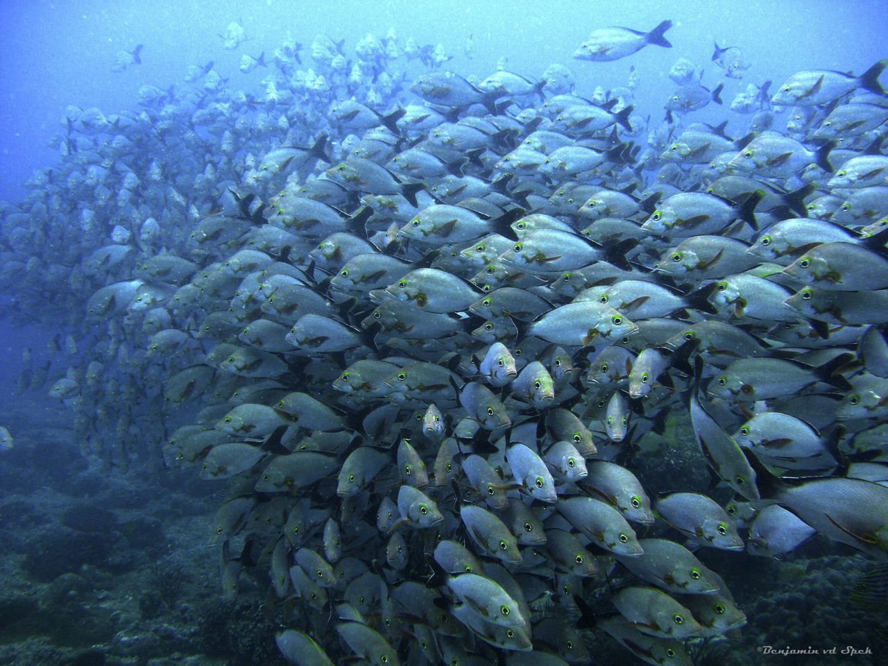 ROCKS IN SEA