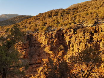 Scenic view of landscape against clear sky