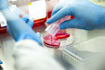 Midsection of scientist examining chemical in laboratory