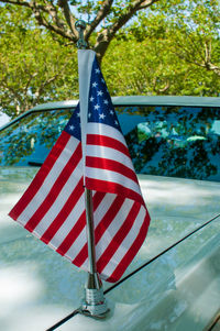 Close-up of flag against blurred background