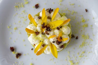 High angle view of yellow flower on plate