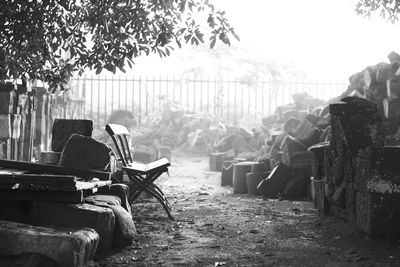 Abandoned chairs on table by tree