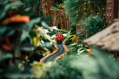 Small red model train in a horticultural holiday exhibit