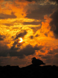 Silhouette of a orange sunset sky