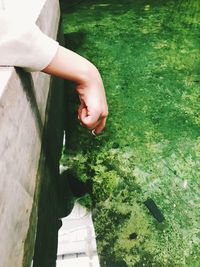 High angle view of woman hand by plants