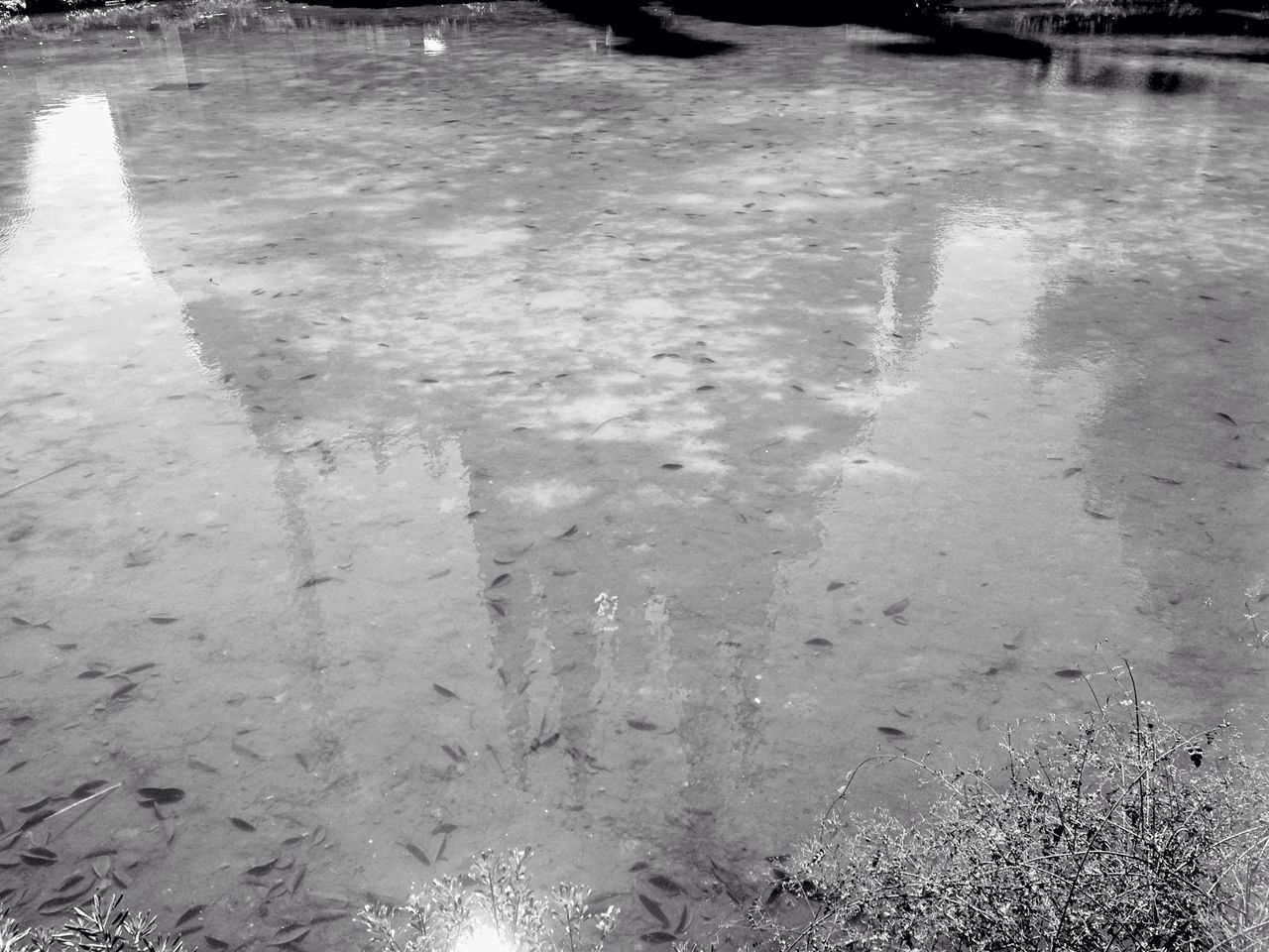 HIGH ANGLE VIEW OF SNOW ON WATER