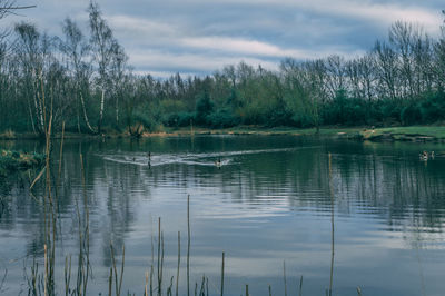 Scenic view of lake against sky