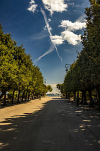 Empty road along trees and plants against sky