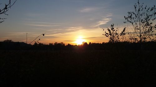 Silhouette plants on field against sky during sunset