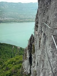 Close-up of tree against sky