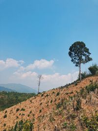 Scenic view of land against sky