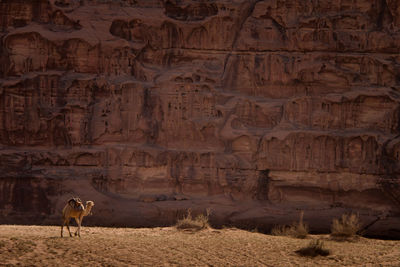 View of rock formation