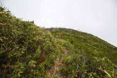 Scenic view of mountain against clear sky