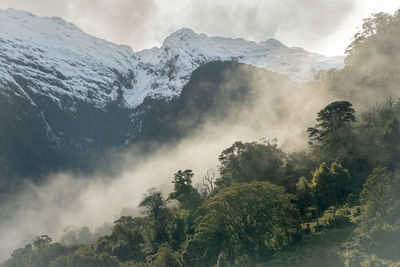 Scenic view of tree mountains against sky