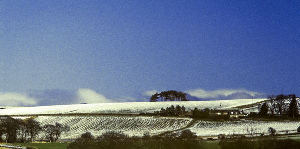 Scenic view of field against clear blue sky