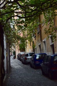 Cars parked in front of building