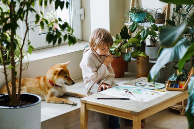 Funny male kid painting with dog at home in brightly room with potted plants 