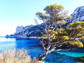 Scenic view of sea against clear sky