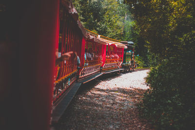 Train passing through trees