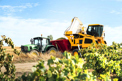 Mechanical grape harvester working in vineyard