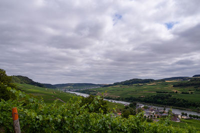 Scenic view of landscape against sky