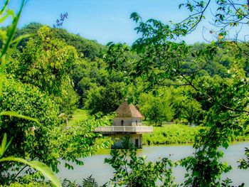 Scenic view of lake by trees against sky