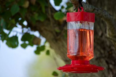 Close-up of red lantern hanging against wooden post