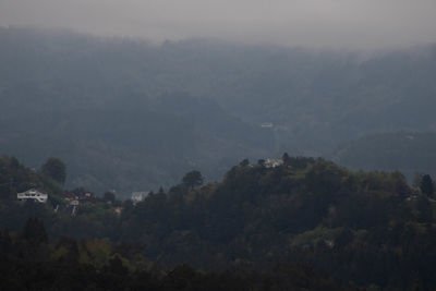 High angle view of trees on landscape against sky