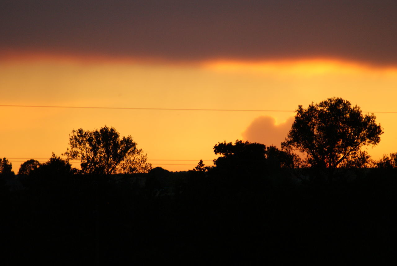 sunset, silhouette, sky, beauty in nature, tree, orange color, tranquility, scenics - nature, tranquil scene, nature, plant, copy space, no people, cloud - sky, idyllic, outdoors, dark, landscape, environment, growth