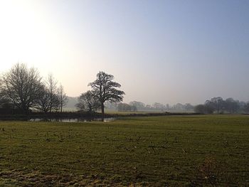 Scenic view of field against clear sky