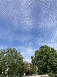 Low angle view of trees and buildings against sky