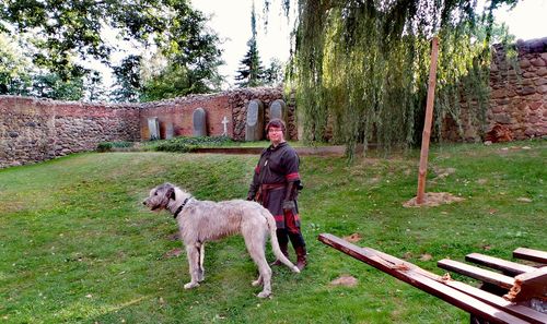 Full length of horse on tree trunk