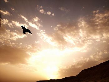 Low angle view of silhouette birds flying against sky