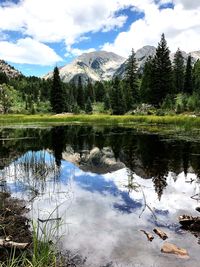 Scenic view of lake by trees against sky