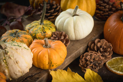 High angle view of pumpkins