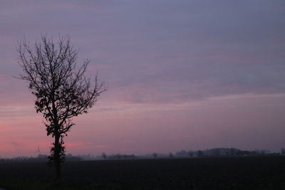 Silhouette tree on field against sky at sunset