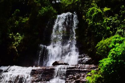 Scenic view of waterfall in forest