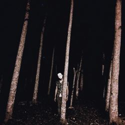 View of trees at night