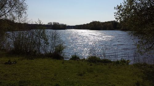 Scenic view of lake in forest against sky