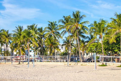 Palm trees on beach against sky