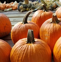 Close-up of pumpkins in market