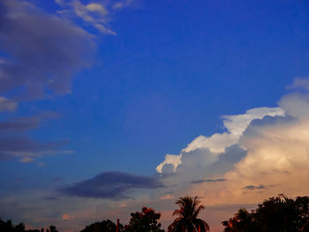 Low angle view of silhouette trees against sky during sunset