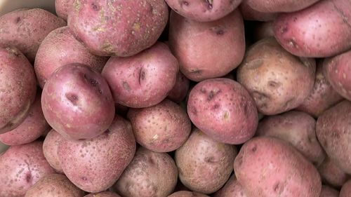 Red skinned potatoes close up