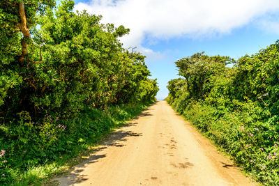 Road amidst trees against sky