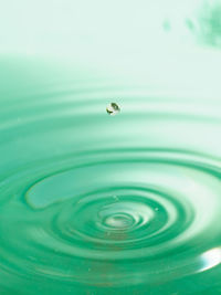 Close-up of drop falling on water