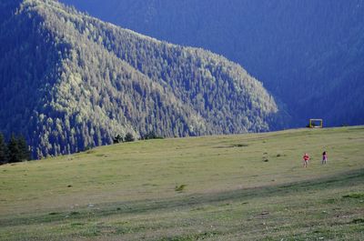 Scenic view of landscape and mountains